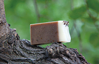 Natural & Healing Aroma Soap