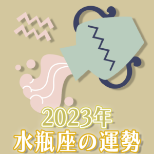 2023年水瓶座