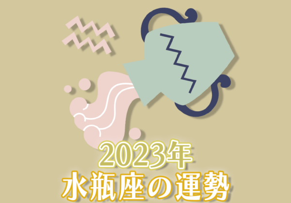 2023年水瓶座